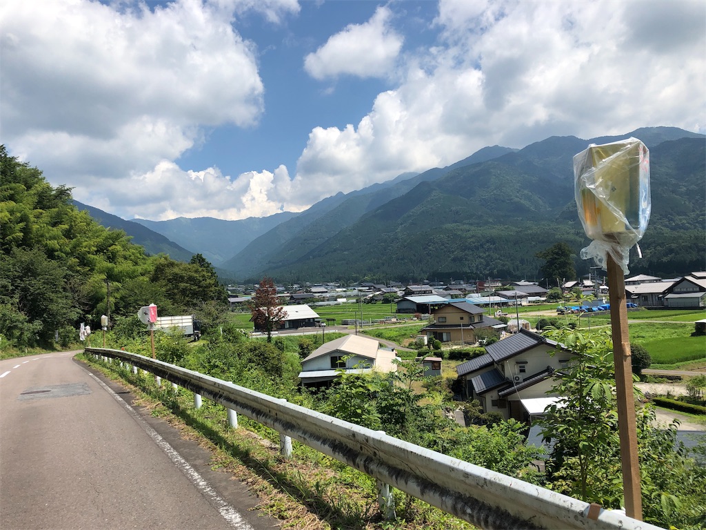 今日は なめくじ祭り 日々のこと