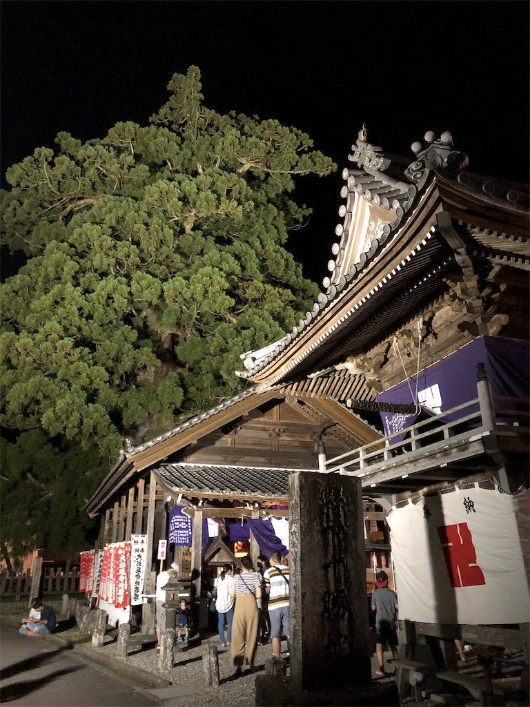 今日は なめくじ祭り 日々のこと