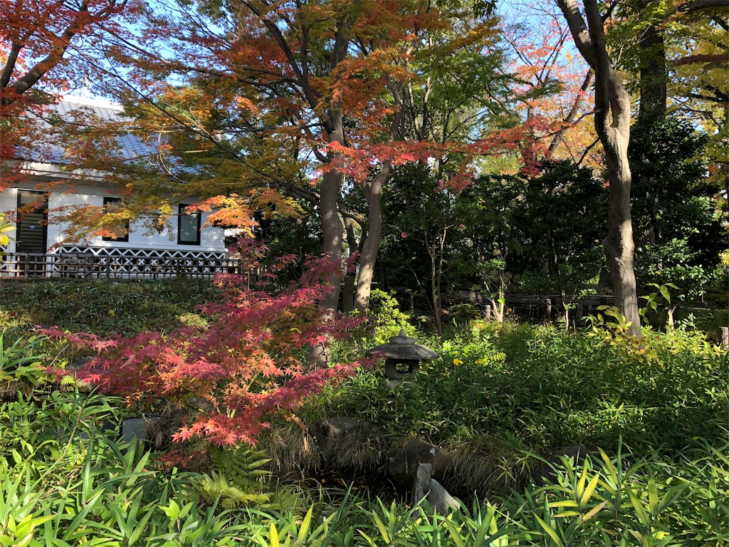 f:id:happyqoo:20191201180318j:image