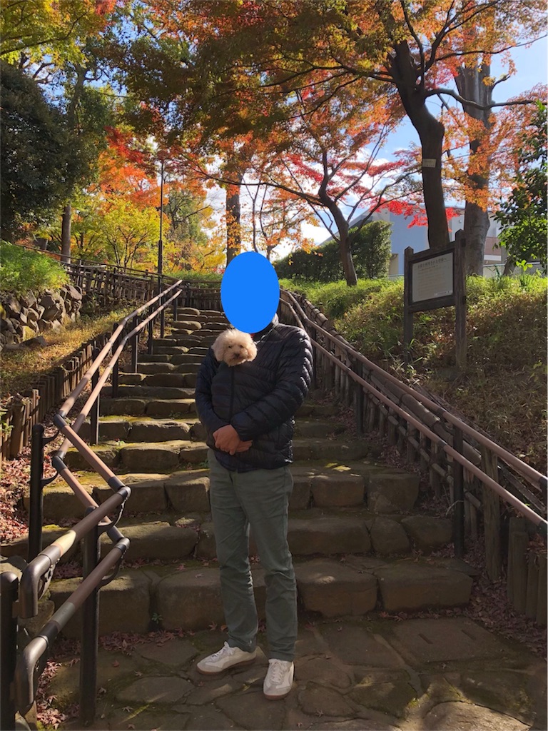 f:id:happyqoo:20191201181014j:image