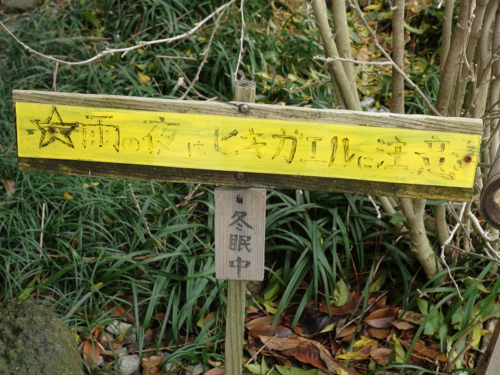 イメージ 10