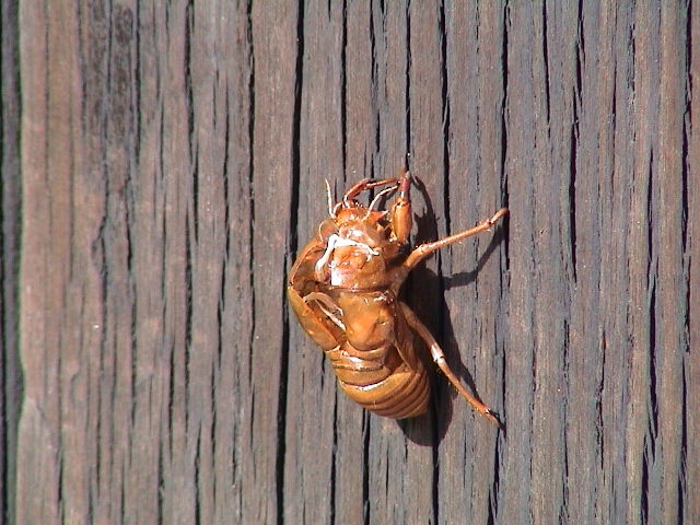 f:id:happyrabbit797:20191009220344j:plain f:id:happyrabbit797:20191009220344j:plain