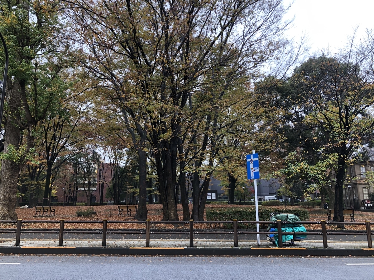 f:id:happyrabbit797:20201128054003j:plain