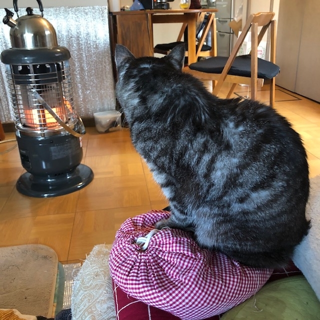 f:id:happyrabbit797:20201226071527j:plain