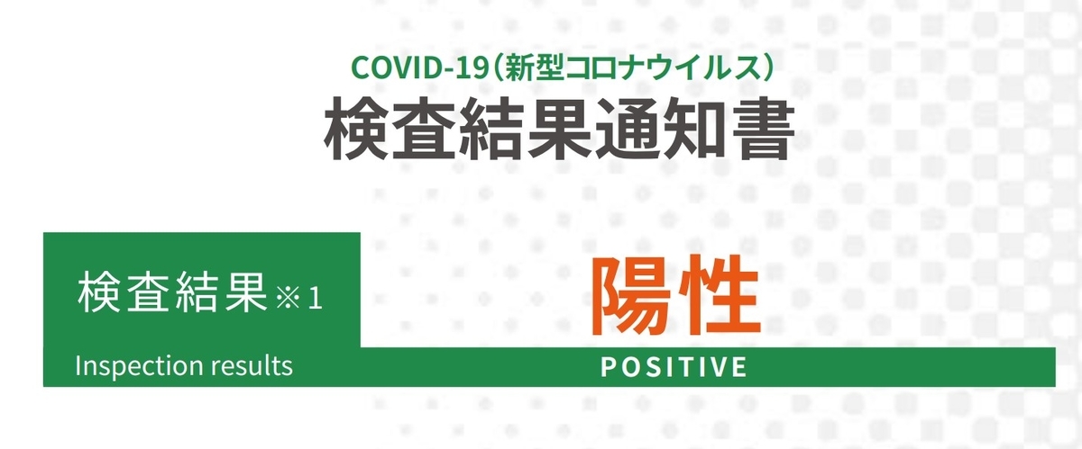 f:id:happyrabbit797:20220210065809j:plain