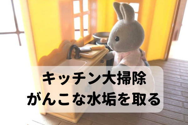 f:id:happyreina:20181219164909j:plain
