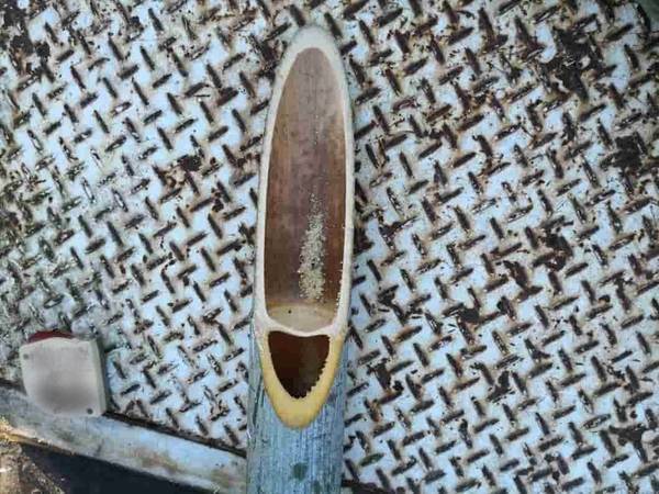 節を入れて竹を切る