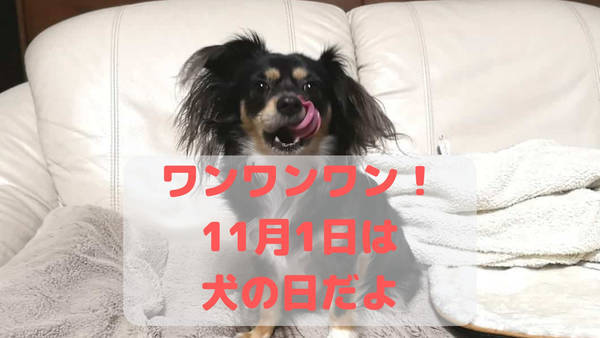 犬の日