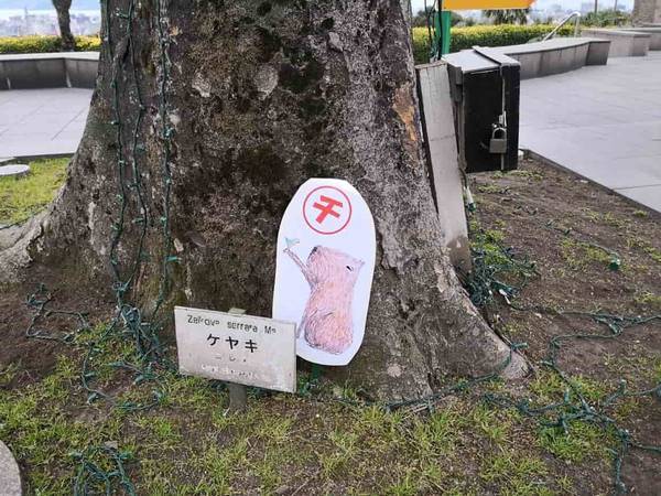 カビパラ