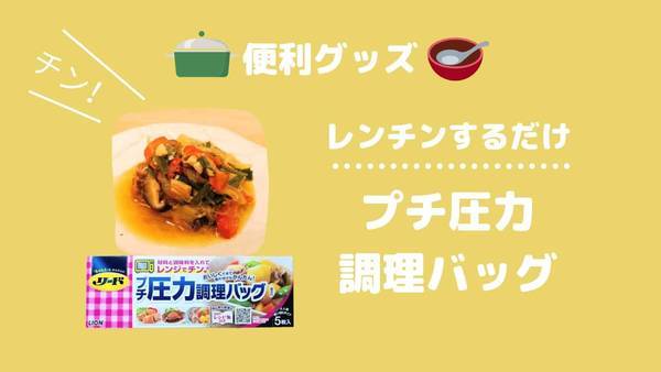 リード プチ圧力調理バッグ は時短 簡単 レンチンでシミシミ煮物 ナナめし