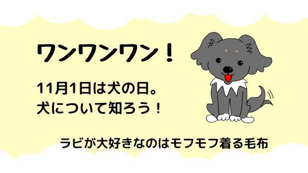 犬の日犬のことについて知ろう