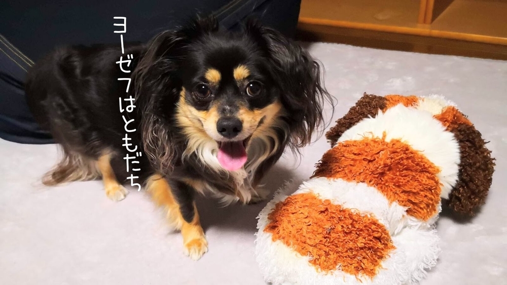 ヨーゼフはともだち Rabistagram ヨーゼフはともだち Rabistagram