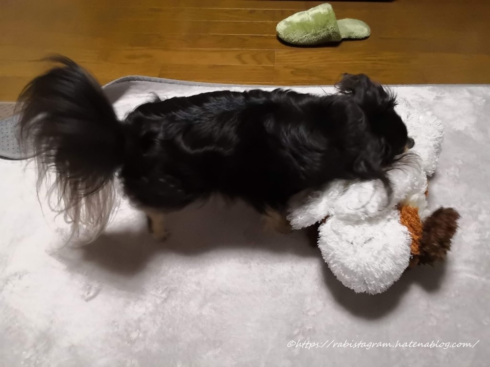ヨーゼフはともだち Rabistagram ヨーゼフはともだち Rabistagram