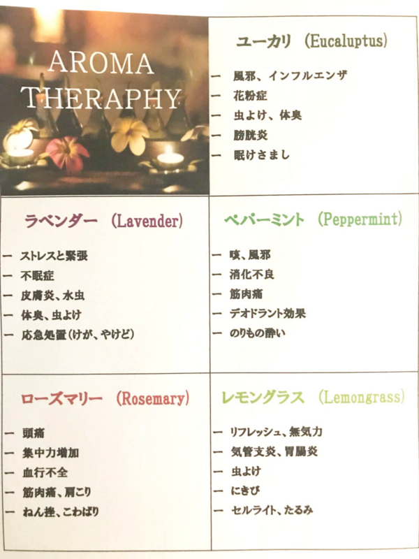 f:id:happyset8enspinner:20180809171149j:plain f:id:happyset8enspinner:20180809171149j:plain