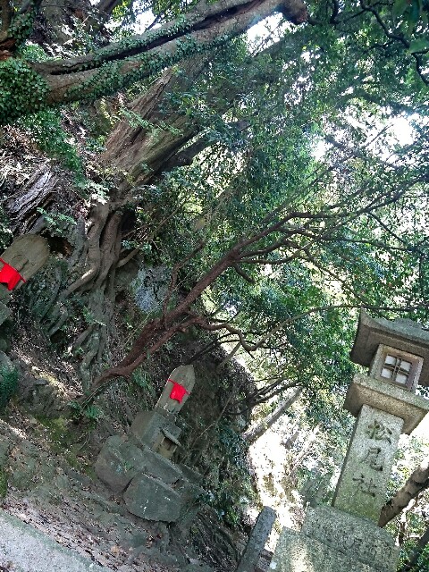 f:id:happytama:20170524145557j:image f:id:happytama:20170524145557j:image