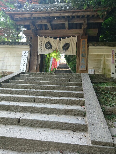 f:id:happytama:20170524145857j:image f:id:happytama:20170524145857j:image