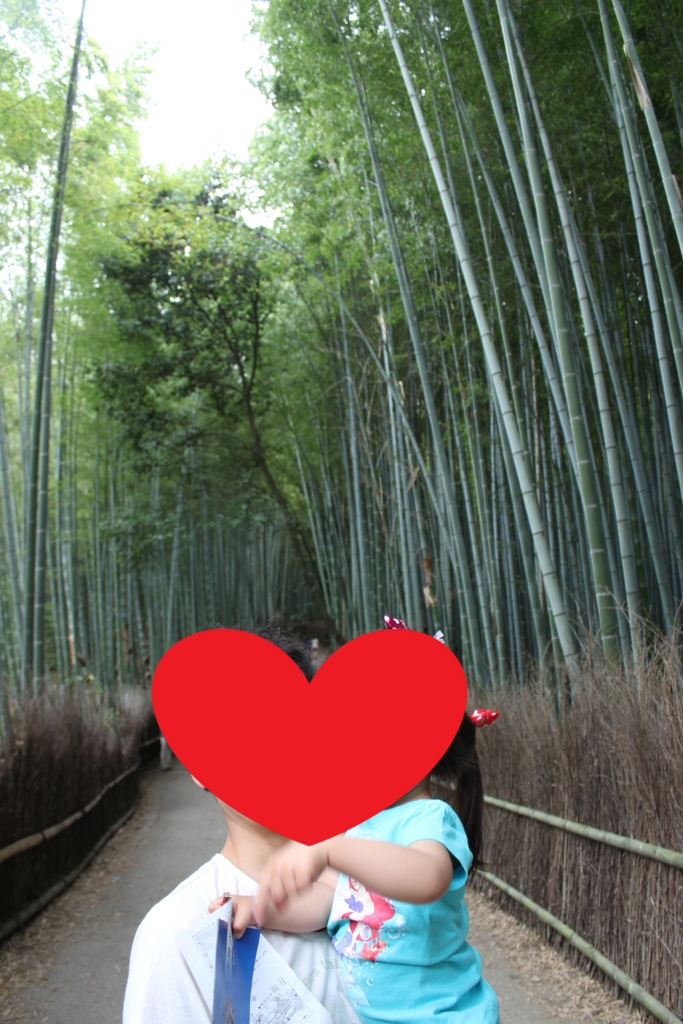 f:id:happyteatime43:20161125220533j:plain f:id:happyteatime43:20161125220533j:plain