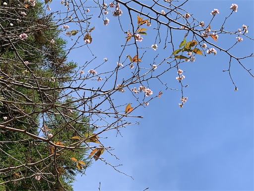 f:id:happyunagi-yuko:20191001212643j:image f:id:happyunagi-yuko:20191001212643j:image
