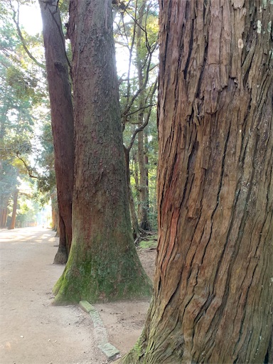 f:id:happyunagi-yuko:20191001214004j:image f:id:happyunagi-yuko:20191001214004j:image