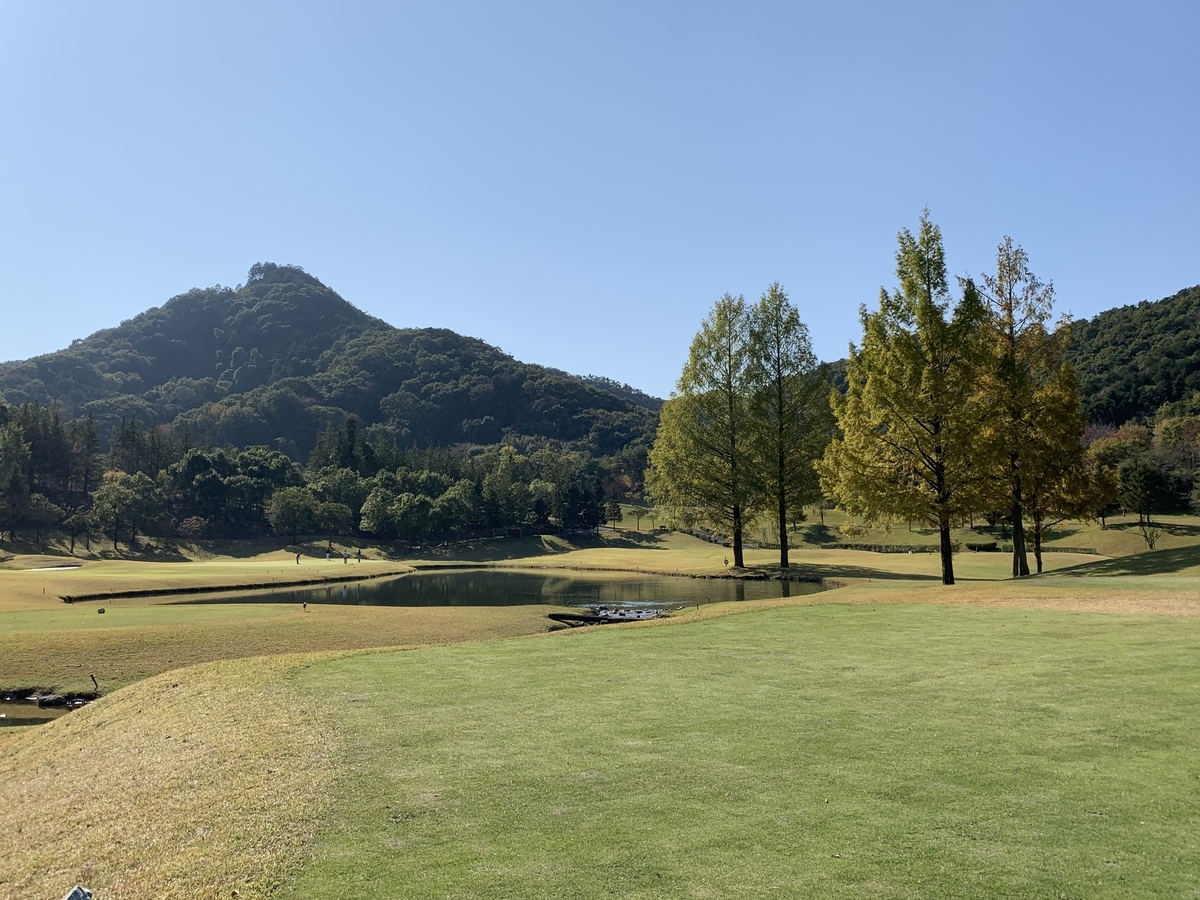 f:id:happyunagi-yuko:20191111154417j:plain