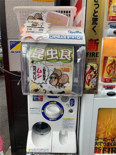 f:id:happyunagi-yuko:20191210194239j:image