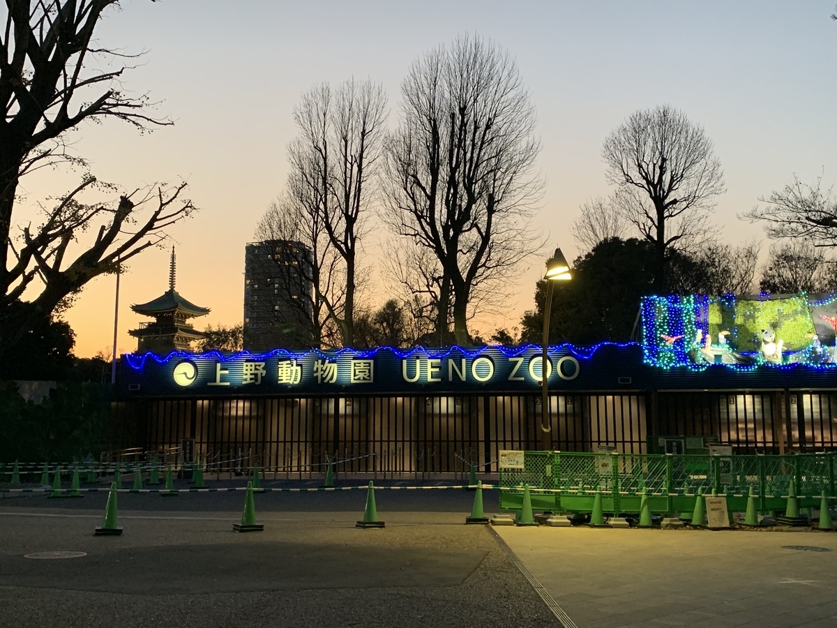 f:id:happyunagi-yuko:20191216214237j:plain f:id:happyunagi-yuko:20191216214237j:plain