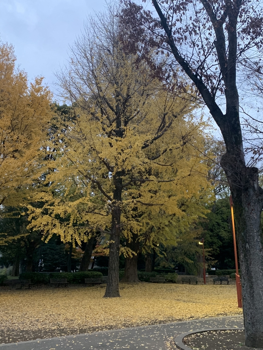 f:id:happyunagi-yuko:20191216214808j:plain f:id:happyunagi-yuko:20191216214808j:plain