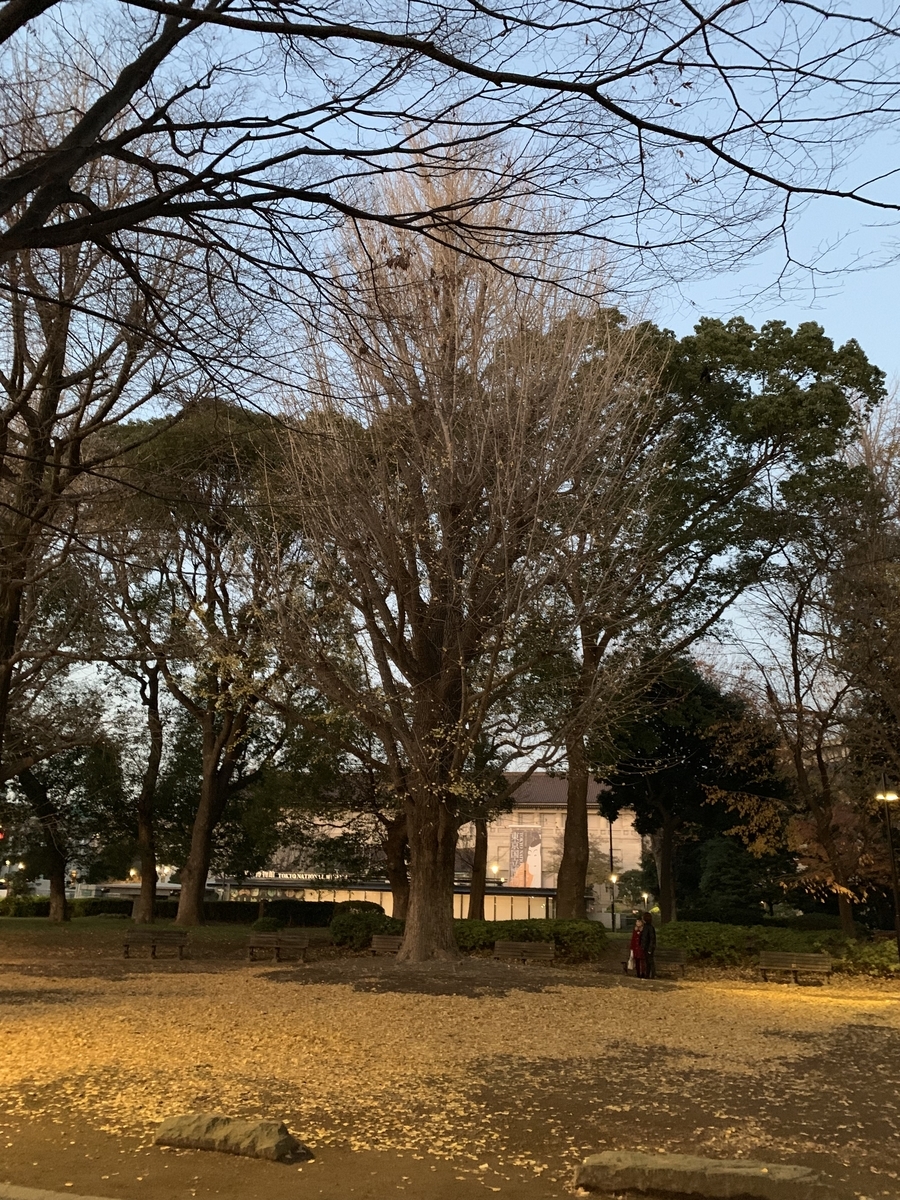 f:id:happyunagi-yuko:20191216214905j:plain f:id:happyunagi-yuko:20191216214905j:plain