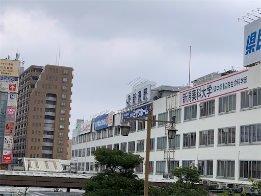 f:id:happyunagi-yuko:20200217101927j:image f:id:happyunagi-yuko:20200217101927j:image