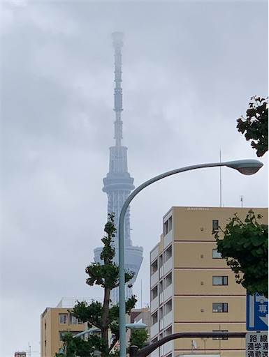 f:id:happyunagi-yuko:20200516121857j:image