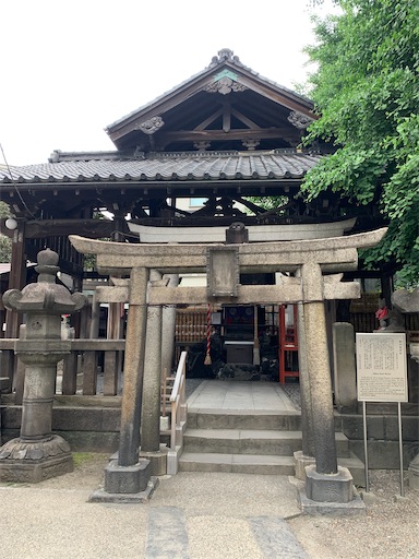 f:id:happyunagi-yuko:20200516132109j:image