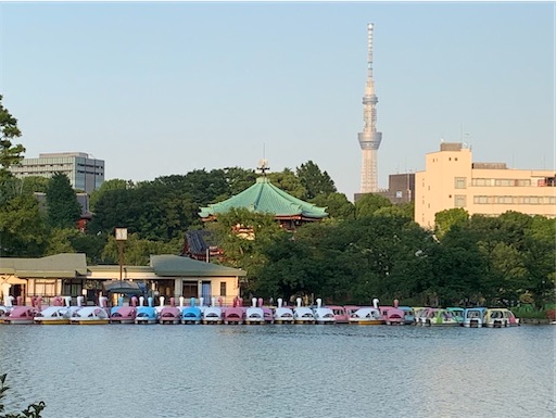 f:id:happyunagi-yuko:20200608220721j:image