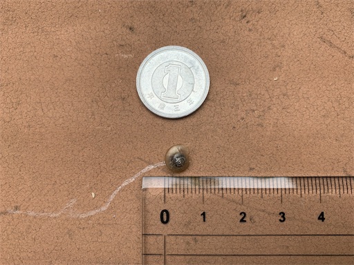 f:id:happyunagi-yuko:20200616111928j:image f:id:happyunagi-yuko:20200616111928j:image