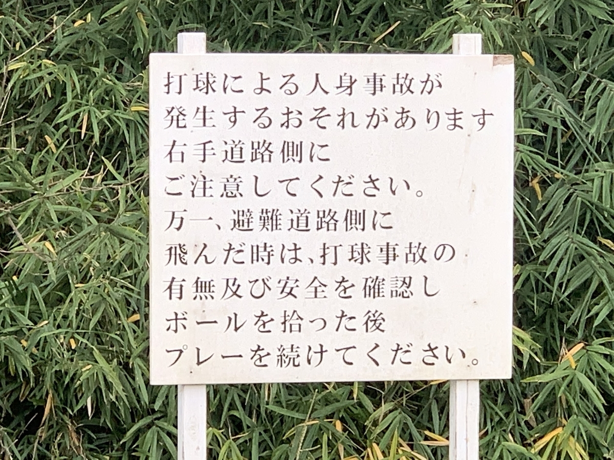f:id:happyunagi-yuko:20201104200703j:plain f:id:happyunagi-yuko:20201104200703j:plain