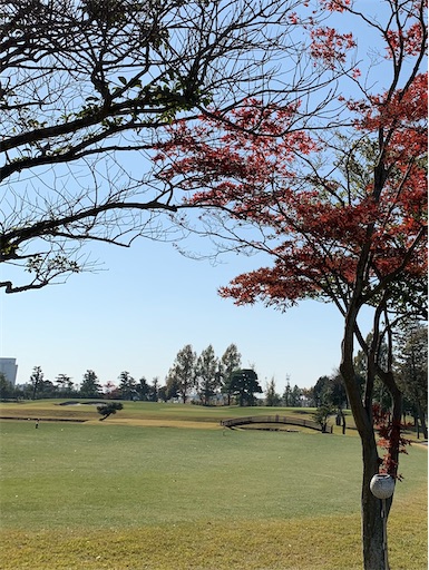 f:id:happyunagi-yuko:20201116164823j:image