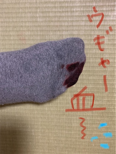 f:id:happyunagi-yuko:20210110182601j:image