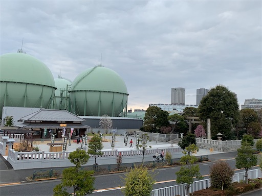 f:id:happyunagi-yuko:20210307233327j:image