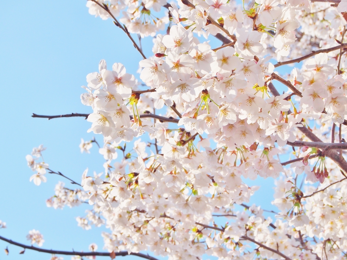 f:id:happyupon:20190401142735j:plain f:id:happyupon:20190401142735j:plain