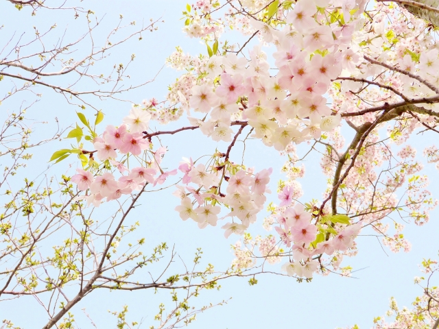 f:id:happyupon:20200328155226j:plain f:id:happyupon:20200328155226j:plain