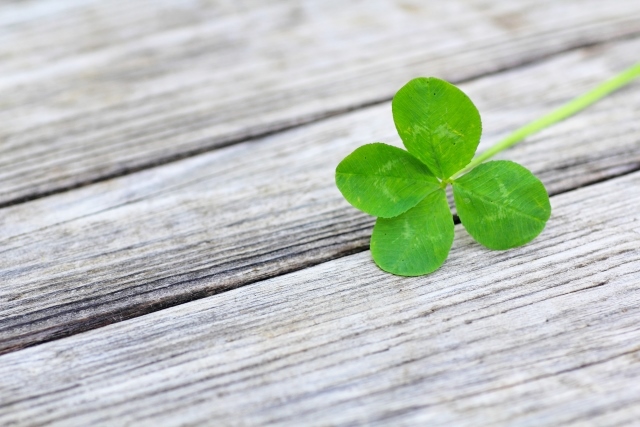 f:id:happyupon:20201007132347j:plain