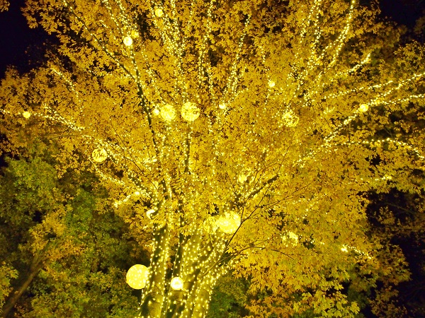 f:id:happyupon:20201119135534j:plain