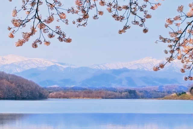 f:id:happyupon:20210313224808j:image