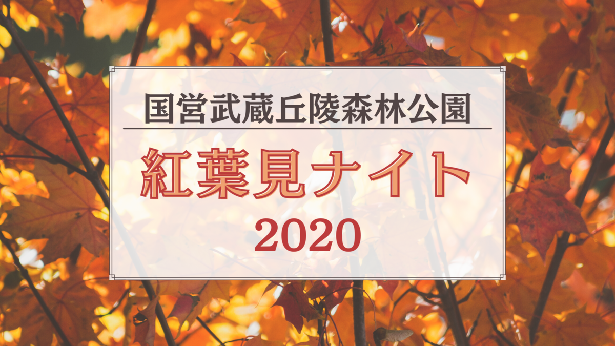 国営武蔵丘陵森林公園 紅葉見ナイト を見に行ってきた 埼玉 イベント Happy Life 幸せ子育て日和