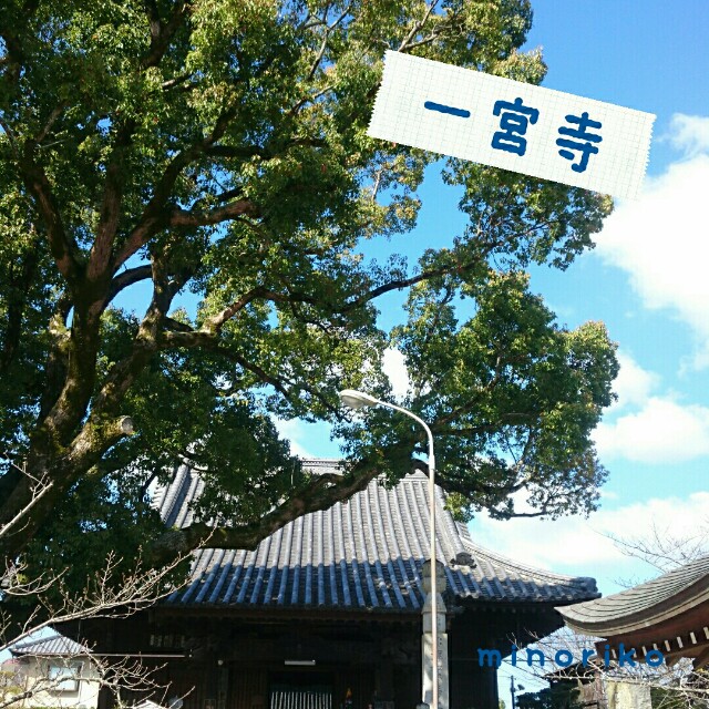 f:id:happywhiteflower:20160316132329j:image f:id:happywhiteflower:20160316132329j:image