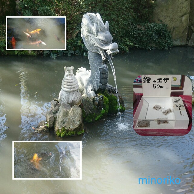 f:id:happywhiteflower:20160316132449j:image f:id:happywhiteflower:20160316132449j:image