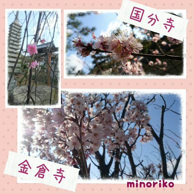 f:id:happywhiteflower:20160322111744j:image f:id:happywhiteflower:20160322111744j:image
