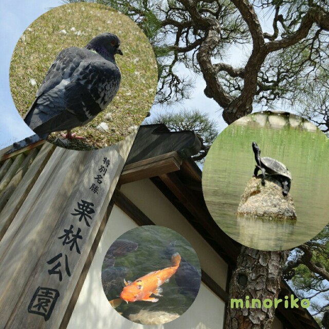 f:id:happywhiteflower:20160329170620j:image f:id:happywhiteflower:20160329170620j:image