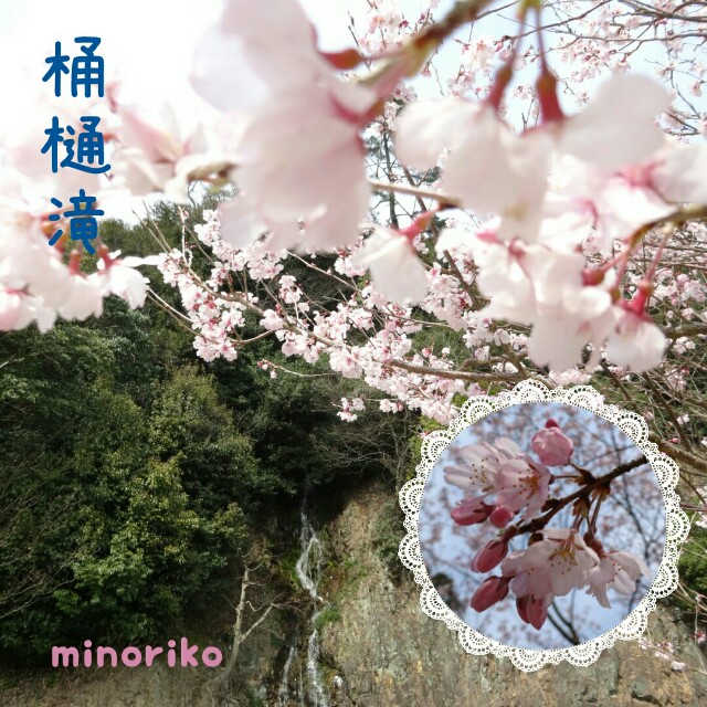 f:id:happywhiteflower:20160329171139j:image f:id:happywhiteflower:20160329171139j:image