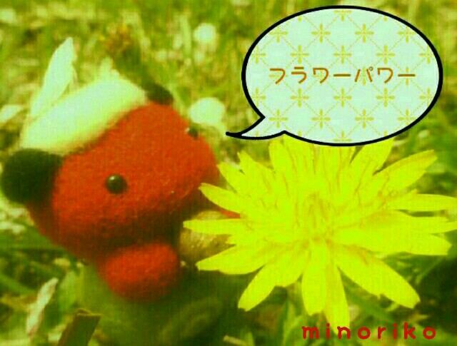 f:id:happywhiteflower:20160503200420j:image f:id:happywhiteflower:20160503200420j:image