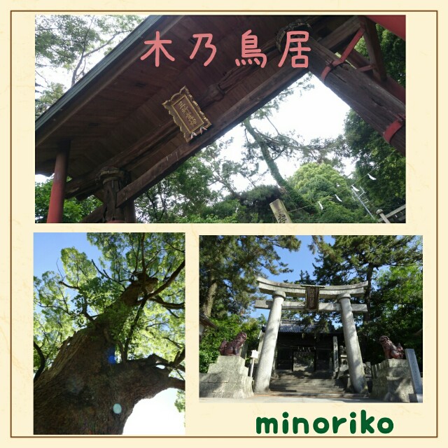 f:id:happywhiteflower:20160609191159j:image f:id:happywhiteflower:20160609191159j:image